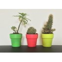 Plantes dans jolis pots Fluo DIY KEEN