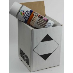 Peinture radiateur 120° - Cartons de 4 bombes de peinture radiateur